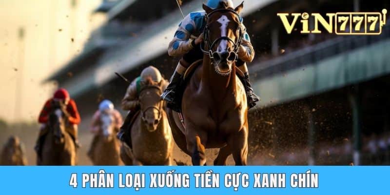 4 phân loại xuống tiền cực xanh chín
