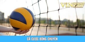 Cá Cược Bóng Chuyền - Hình Thức Giải Trí Đang Lên Năm 2025
