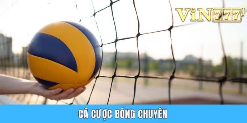Cá Cược Bóng Chuyền - Hình Thức Giải Trí Đang Lên Năm 2025