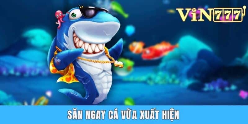 Săn ngay cá vừa xuất hiện