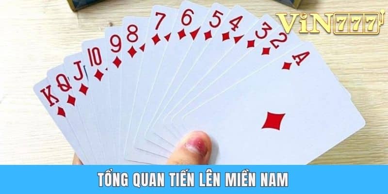 Tiến Lên Miền Nam - Cách Đánh Bài Chặt Heo Chi Tiết 2025 Tổng quan Tiến Lên Miền Nam